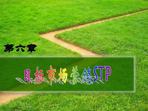 6第六章目标市场营销
