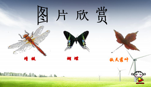2017-2018年人教最新审定版小学二年级数学下册轴对称图形的认识 (2)精品ppt课件