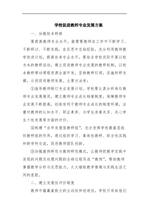 学校促进教师专业发展方案 范文