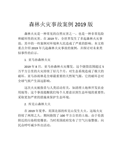 森林火灾事故案例2019版