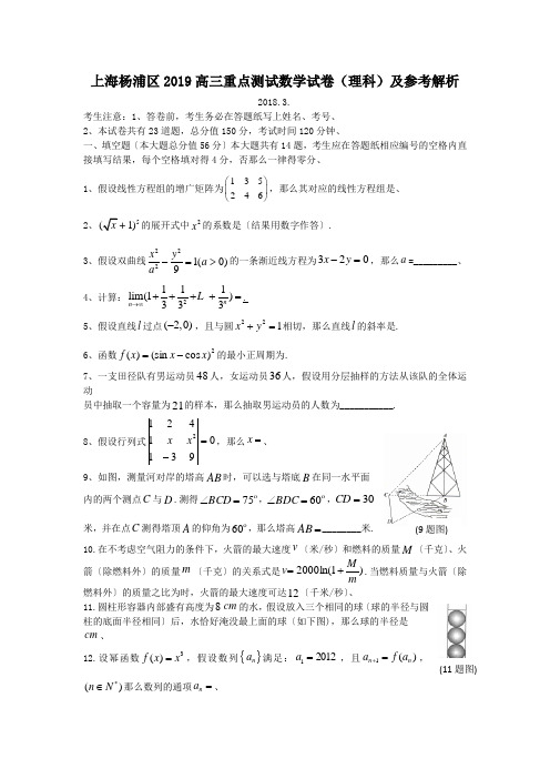 上海杨浦区2019高三重点测试数学试卷(理科)及参考解析