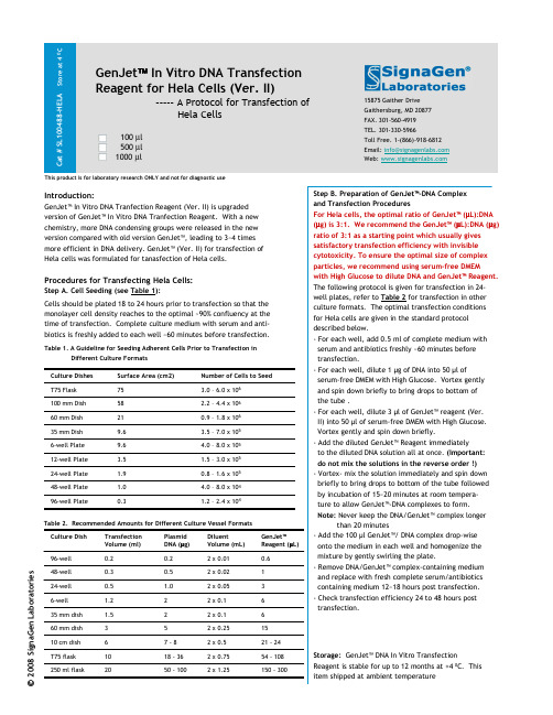 Hela细胞DNA转染试剂使用说明书