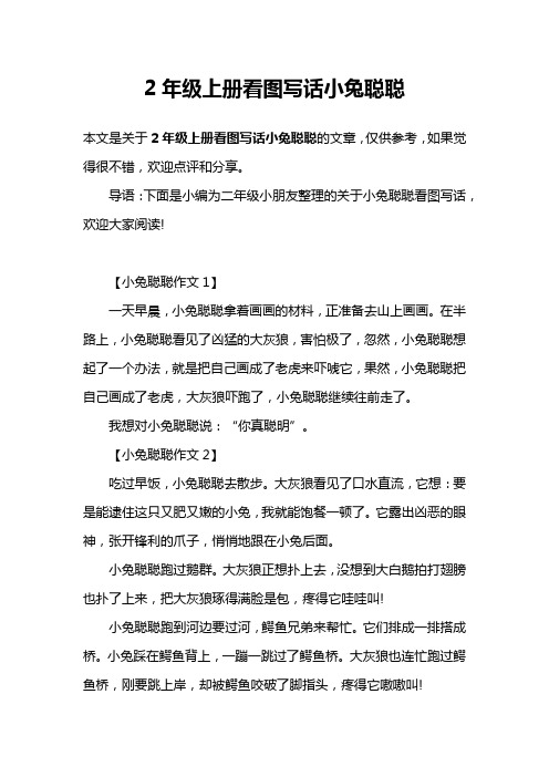 2年级上册看图写话小兔聪聪