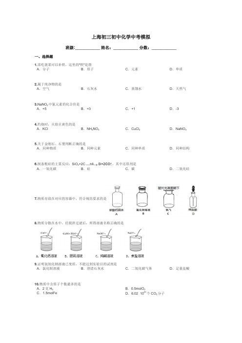 上海初三初中化学中考模拟带答案解析
