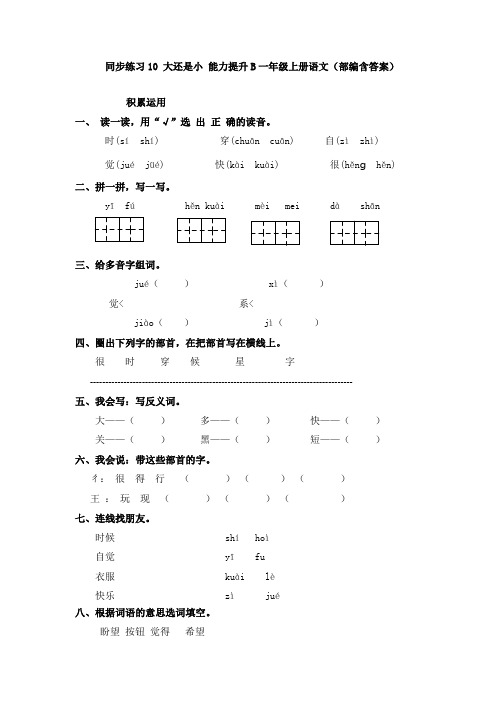 同步练习10 大还是小 能力提升B一年级上册语文(部编含答案)