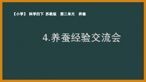 苏教版小学科学四年级下册第二单元第4课优秀PPT课件《养蚕经验交流会》