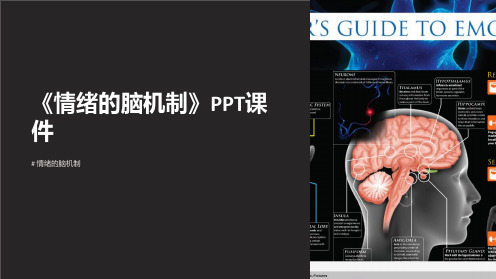 《情绪的脑机制》课件