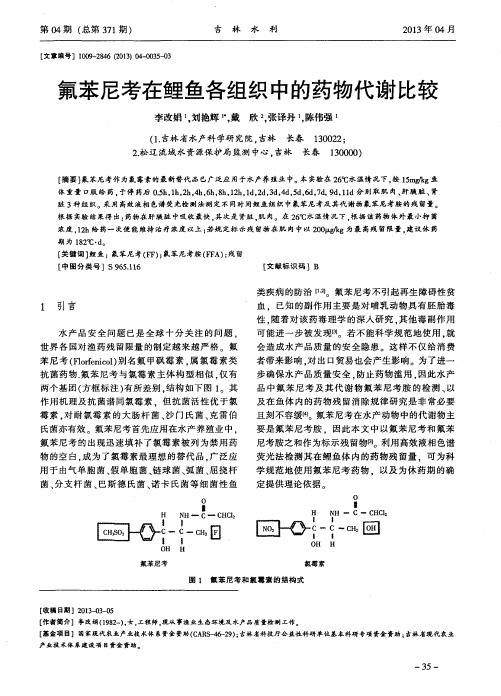 氟苯尼考在鲤鱼各组织中的药物代谢比较