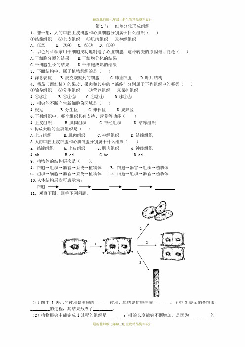 最新北师版七年级上册生物一课一练第1节 细胞分化形成组织课时检测(2)