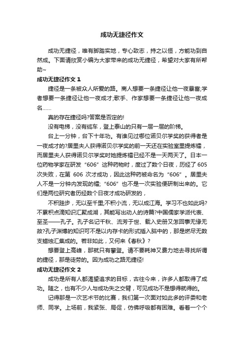 成功无捷径作文