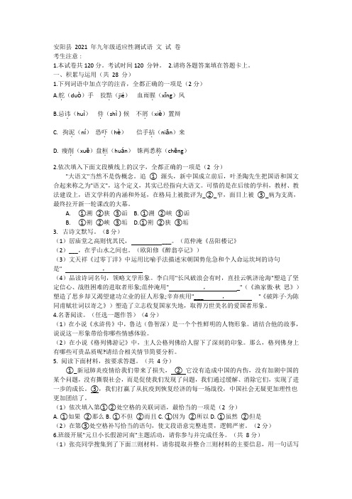 河南省安阳市安阳县2020-2021学年九年级下学期适应性测试语文试题