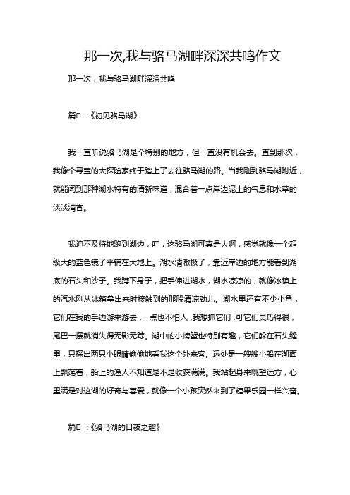 那一次,我与骆马湖畔深深共鸣作文