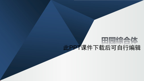 田园综合体项目实施策划方案