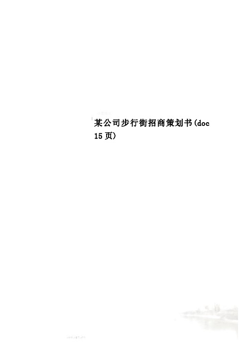 某公司步行街招商策划书(doc 15页)