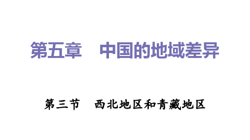 西北地区和青藏地区习题课件2021-2022学年湘教版地理八年级下册