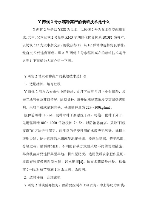 Y两优2号水稻种高产的栽培技术是什么.doc