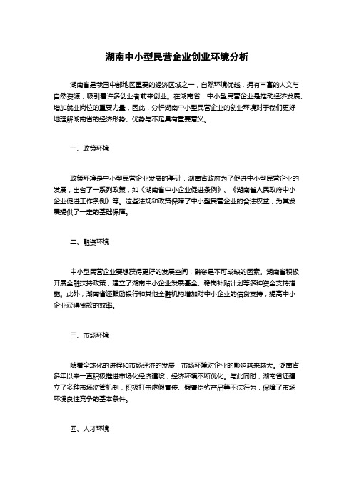 湖南中小型民营企业创业环境分析