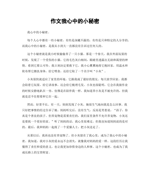 作文我心中的小秘密