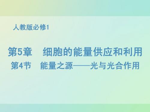 《教师参考》新课标人教版(高中生物) 必修1同课异构课件：5.4.2 光合作用的原理和应用1