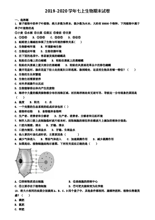 ┃试卷合集4套┃2020年北京市西城区生物七年级(上)期末联考模拟试题