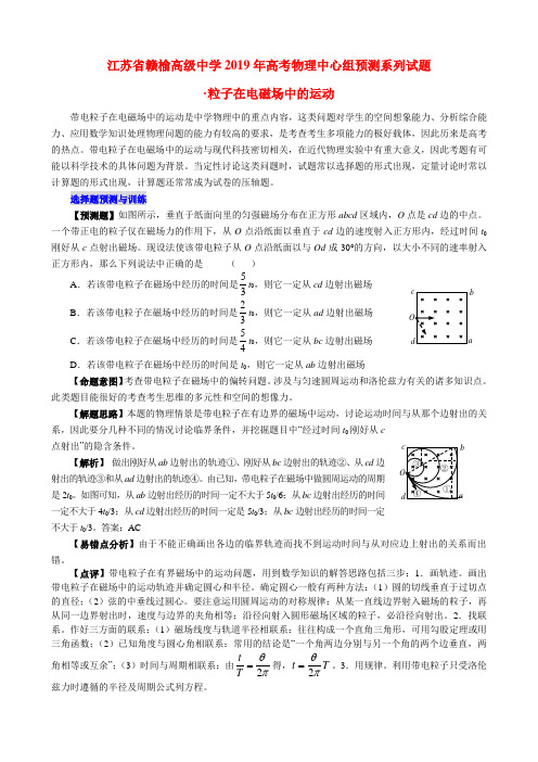 江苏省赣榆高级中学2019年高考物理中心组预测系列试题粒子在电磁场中的运动(教师版含解析)