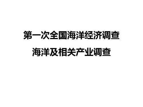 第一次全国海洋经济调查海洋及相关产业调查