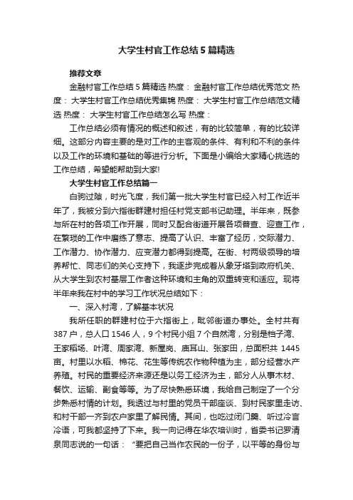 大学生村官工作总结5篇精选