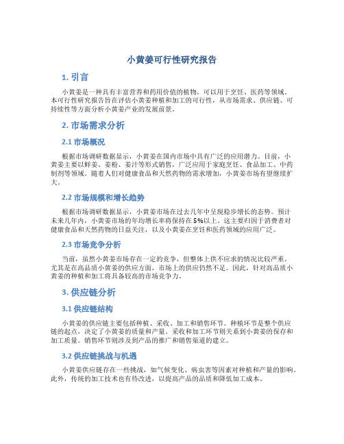 小黄姜可行性研究报告