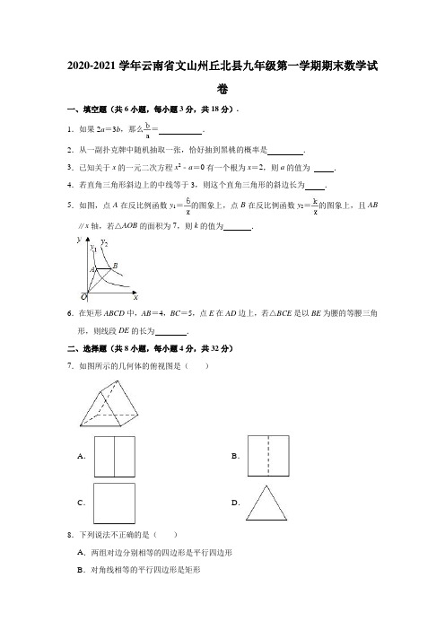 2020-2021学年云南省文山州丘北县九年级(上)期末数学试卷(解析版)