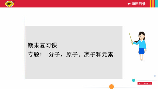 最新人教版九年级上册化学专题1分子、原子、离子和元素