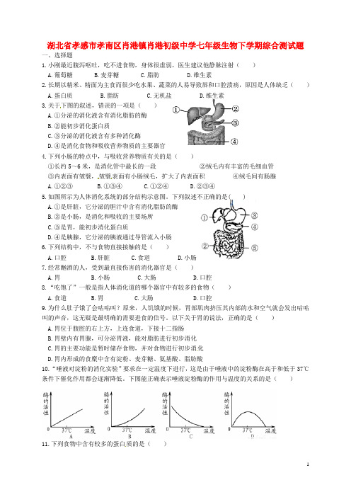 湖北省孝感市孝南区肖港镇肖港初级中学七年级生物下学期综合测试题2(无答案) 北师大版
