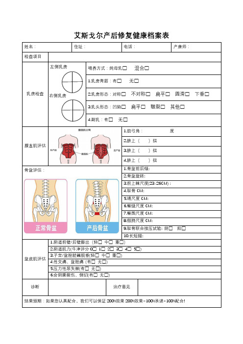 艾斯格尔产后恢复健康档案表模板