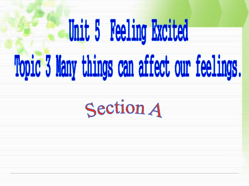 仁爱版八下U5T3SA Many things can affect our feelings