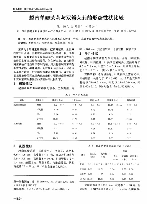 越南单瓣茉莉与双瓣茉莉的形态性状比较