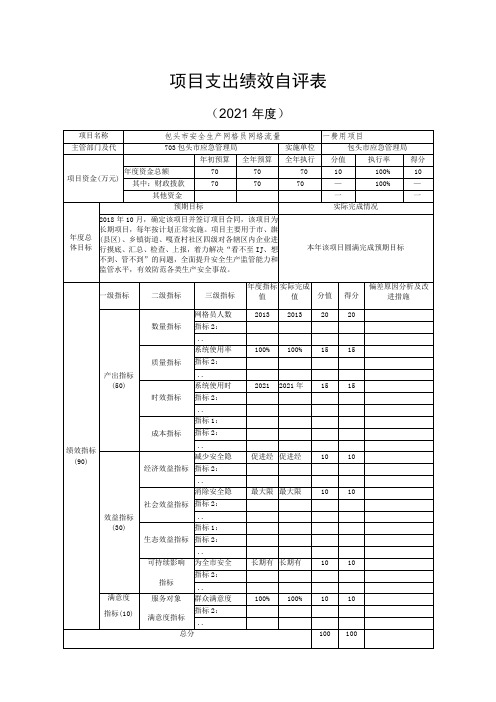 项目支出绩效自评表