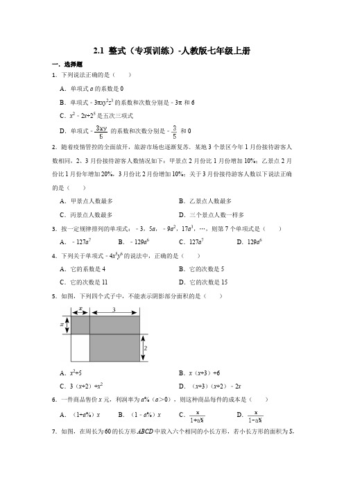 2-1整式专项训练人教版七年级数学上册