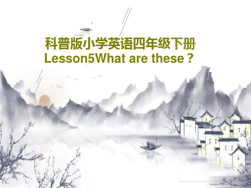 科普版小学英语四年级下册Lesson5What are these？共31页PPT