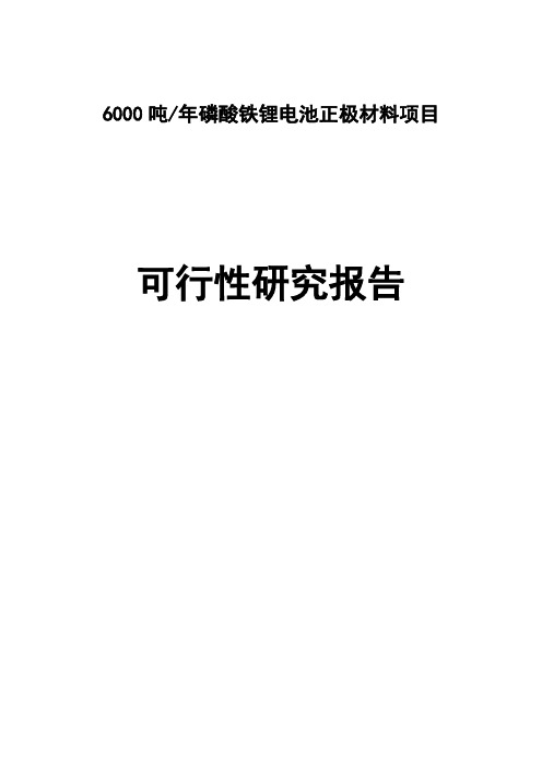 磷酸铁锂正极材料项目研究报告