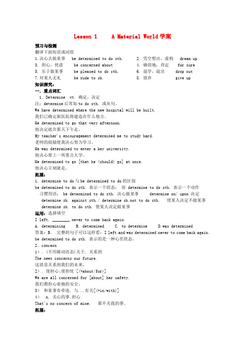 高中英语 unit10 lesson1 a material world学案 北师大版必修4