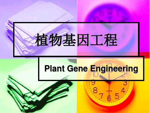 植物基因工程