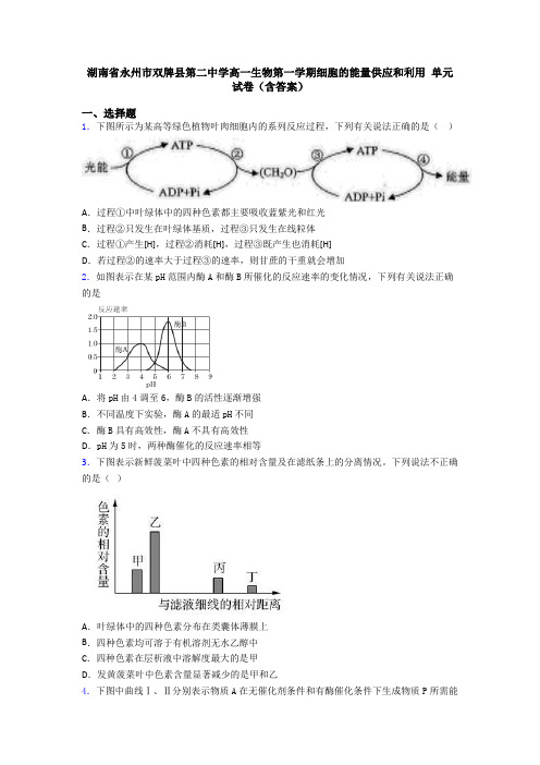 湖南省永州市双牌县第二中学高一生物第一学期细胞的能量供应和利用 单元试卷(含答案)