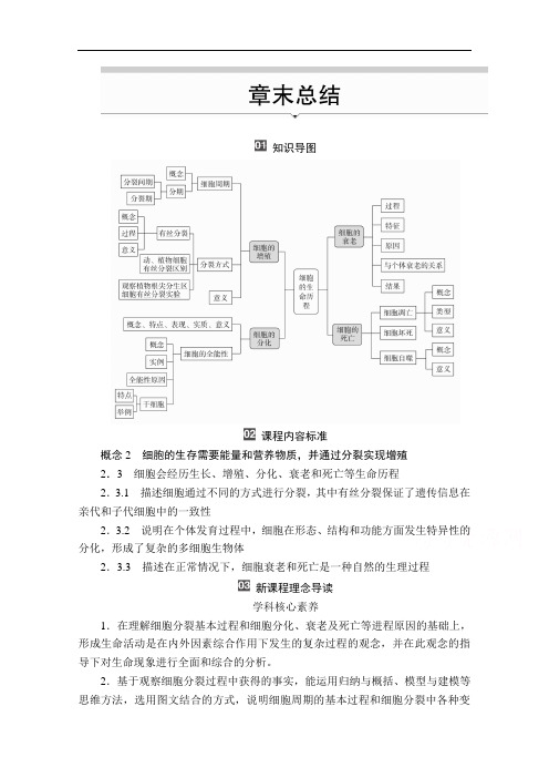 2020秋高一生物人教版必修1学案：第六章细胞的生命历程章末总结1