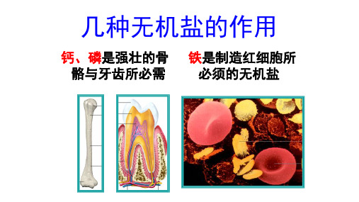 几种无机盐的作用