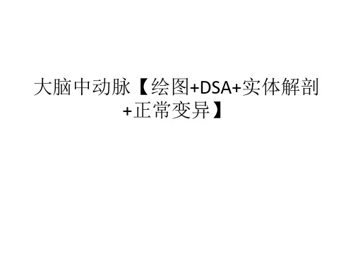 大脑中动脉【绘图+DSA+实体解剖+正常变异】