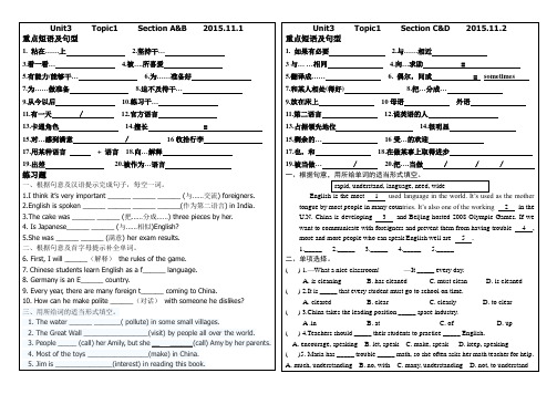 新版仁爱英语九年级上册 Unit3 Topic1词汇练习及答案