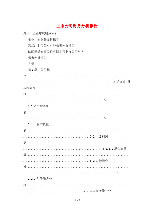 上市公司财务分析报告