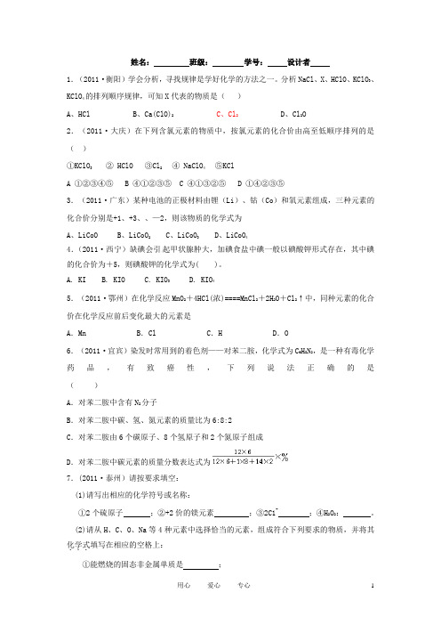 中考化学一轮复习学案 《化学式与化合价》问题训练评价单 人教新课标版