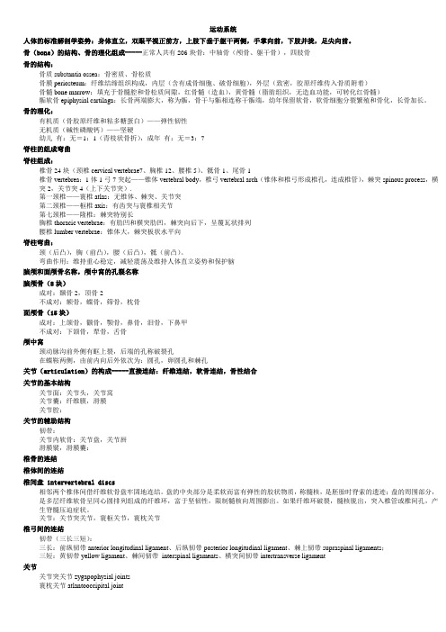 系统解剖学运动系统重点