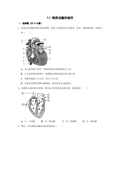 济南版生物七年级下册物质运输的途径