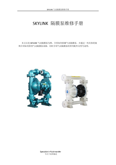 skylink隔膜泵维修手册